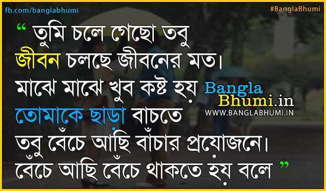 Bangla Miss You Shayari Wallpaper