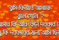 New Bengali Sad Love Quote: Bangla Love