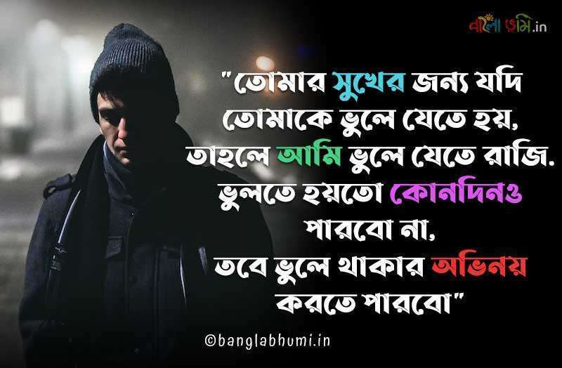 Bengali Sad Love Status and sms Shayari