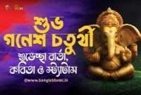 Ganesh Chaturthi Wishes in Bengali: গণেশ চতুর্থীর শুভেচ্ছা