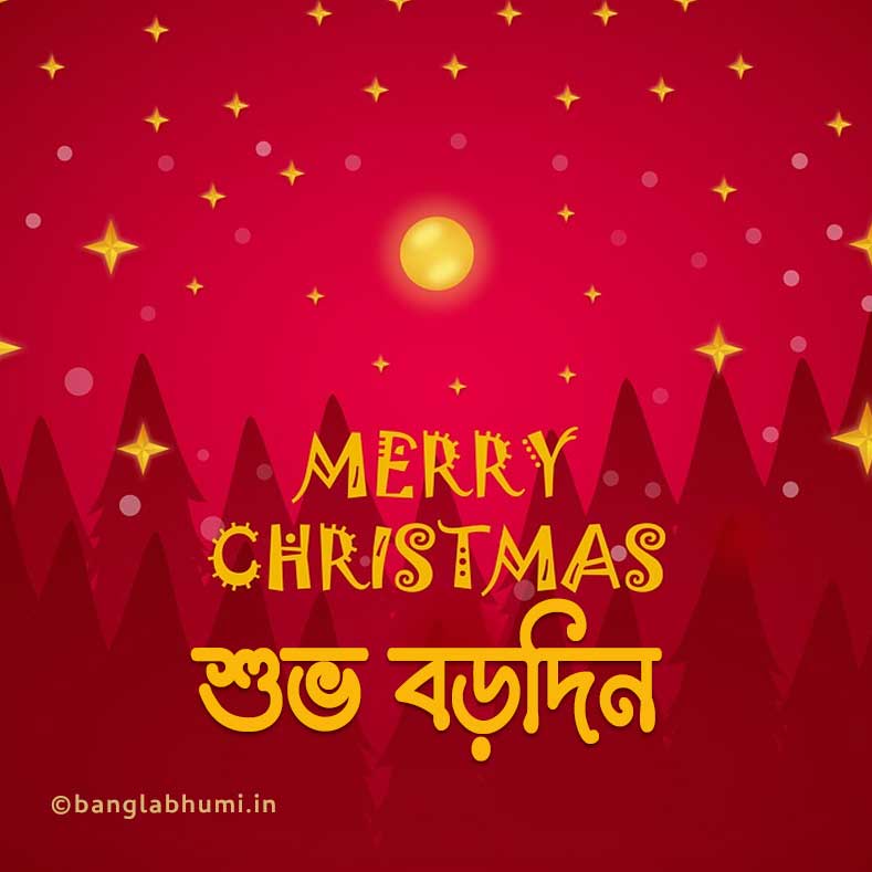 bangla christmas wish status image