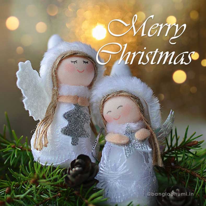 beautiful merry christmas wish image