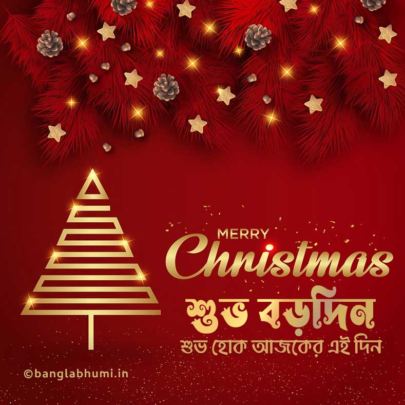 bengali christmas golden style status image