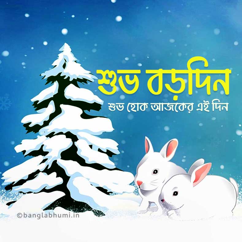 bengali christmas wish status image