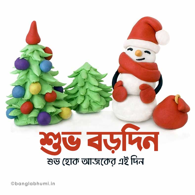 bengali happy christmas wish status image
