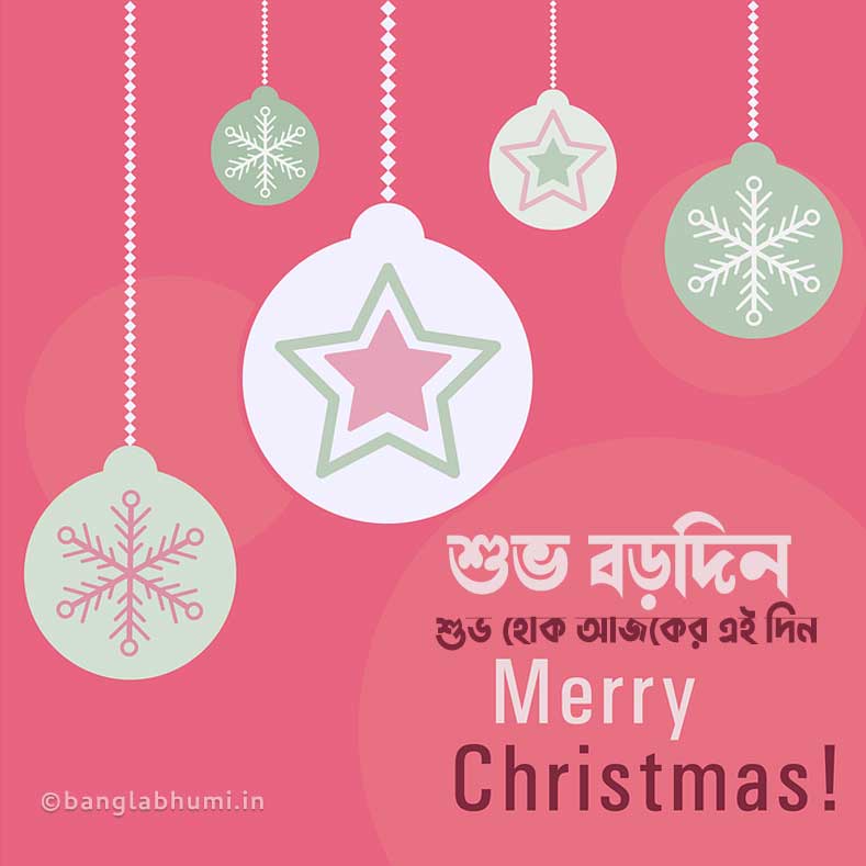 bengali merry christmas wish on pink background image