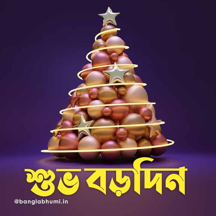 christmas wish image in bengali 020 বড়দিনের শুভেচ্ছা