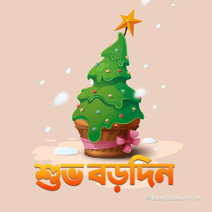 christmas wish image in bengali 034
