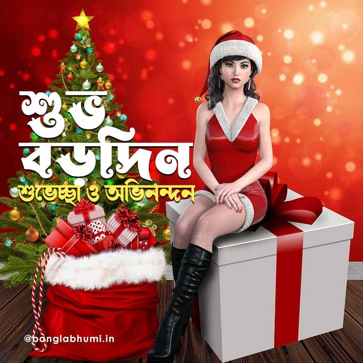 christmas wish image in bengali 037 বড়দিনের শুভেচ্ছা