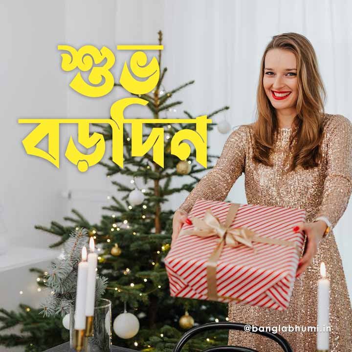 christmas wish image in bengali 05 বড়দিনের শুভেচ্ছা