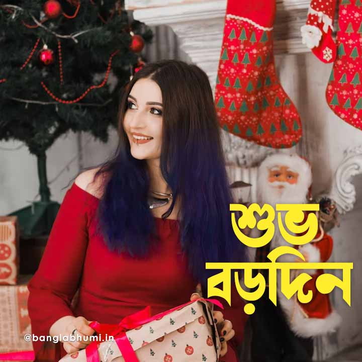 christmas wish image in bengali 08 বড়দিনের শুভেচ্ছা
