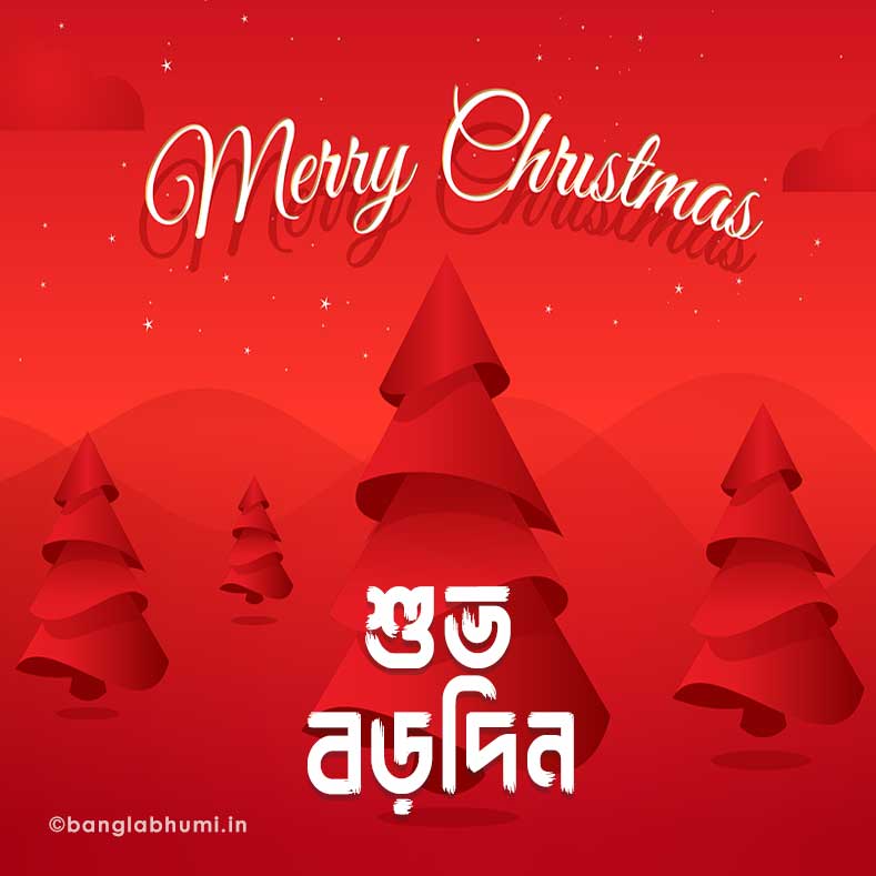 happy christmas bengali status image