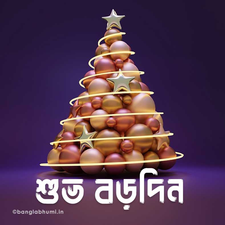 merry christmas wish bengali status image