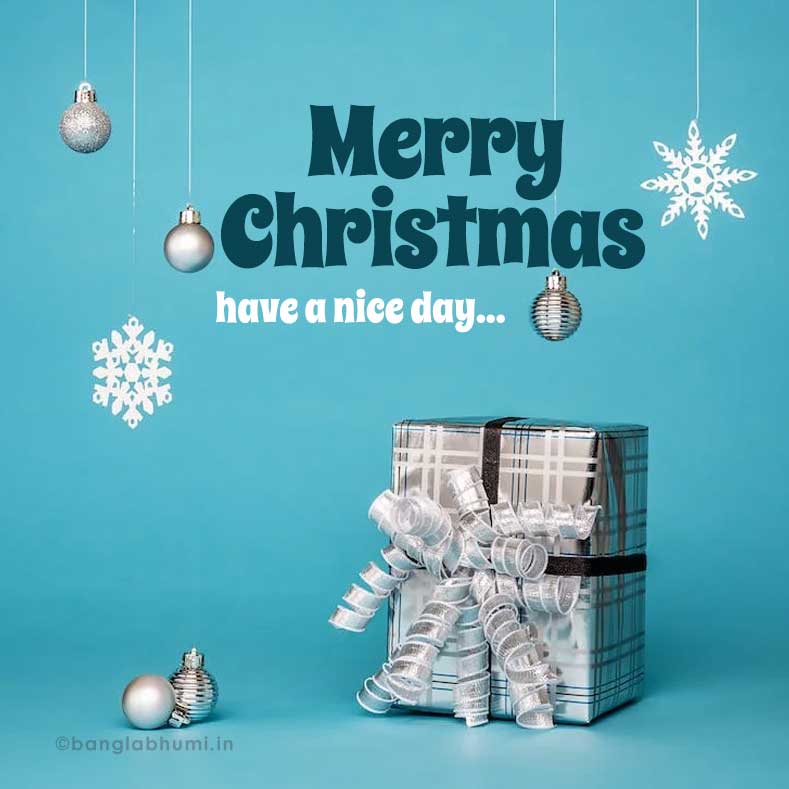 merry christmas with silver gift image