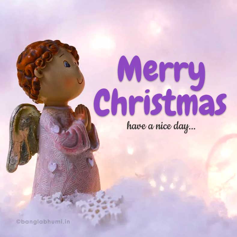 pray god and wish merry christmas image