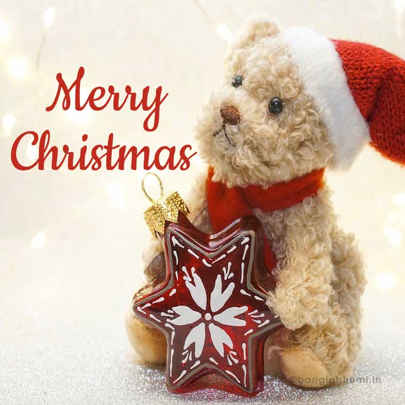 teddy bear wish christmas with red star image